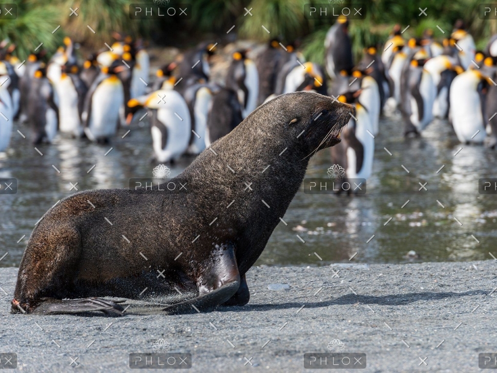 demo-attachment-46-paul-carroll-1421369-unsplash